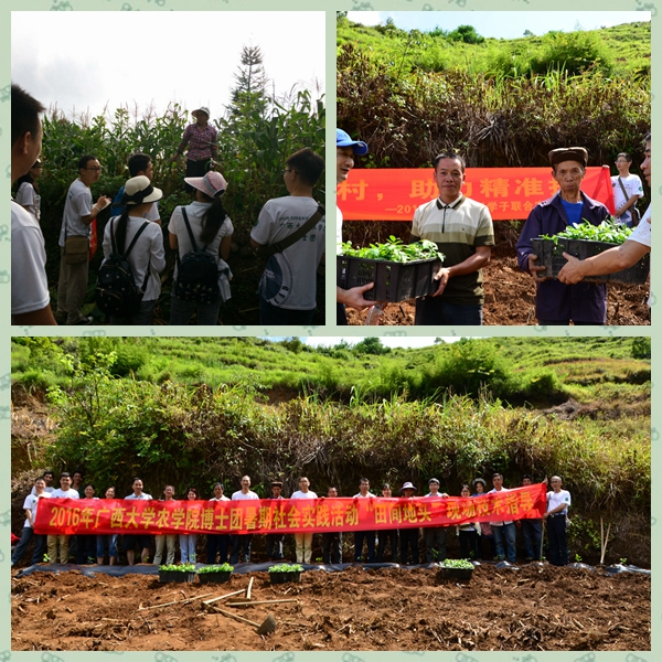 田间地头,实地演练